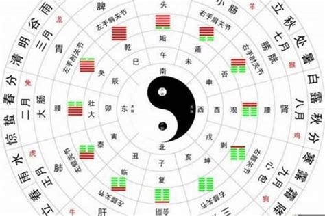 八字喜用色|怎么看八字喜用色和忌用色